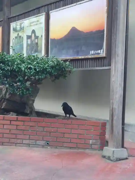 江島神社(神奈川県)