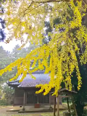 岡見八坂神社の本殿・本堂