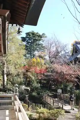 淨眞寺(東京都)