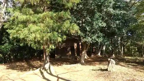 鹿島神社(茨城県)