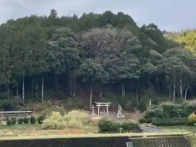 金刀比羅神社の周辺