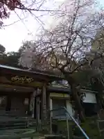 馬居寺(福井県)