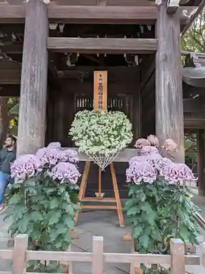 明治神宮(東京都)