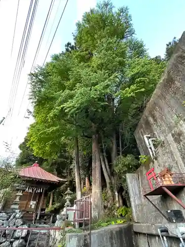不動尊・不動名水のその他建物