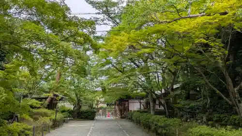 二尊院(京都府)