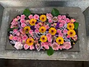 宗隆寺の手水舎(2022年04月08日(金) 17時08分42秒投稿)