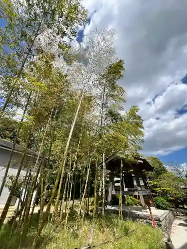 相賀八幡神社の{uncategorized: "未分類", other: "その他", undefined: "問題あり", building: "その他建物", grave: "お墓", sacred_gate: "鳥居", guardian: "狛犬", statue: "像", buddha: "仏像", history: "歴史", nature: "自然", garden: "庭園", animal: "動物", pagoda: "塔", temizu: "手水舎", mountain_gate: "山門・神門", sanctuary: "本殿・本堂", subordinate: "末社・摂社", art: "芸術", scenery: "景色", jizo: "地蔵", ema: "絵馬", goshuin: "御朱印", omikuji: "おみくじ", items: "授与品その他", amulet: "お守り", goshuincho: "御朱印帳", eats: "食事", festival: "お祭り", votive_dance: "神楽", shichigosan: "七五三参", wedding: "結婚式", experience: "体験その他", initially: "初詣", around: "周辺", anti_infection: "感染症対策"}