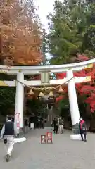 宝登山神社(埼玉県)