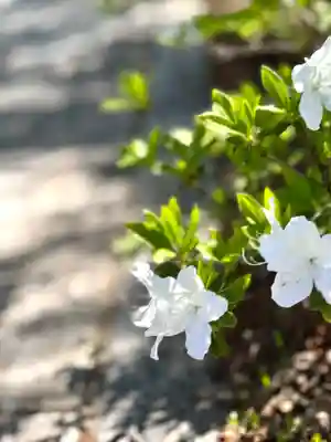 長光寺(長野県)