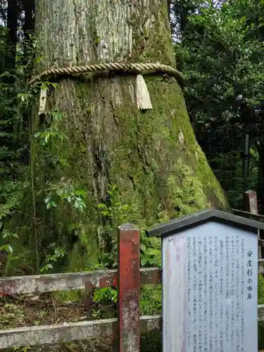 箱根神社(神奈川県)