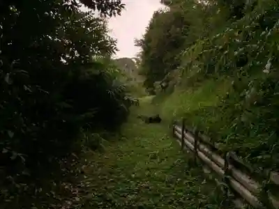 秋葉神社の周辺
