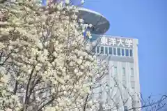 白山神社の周辺