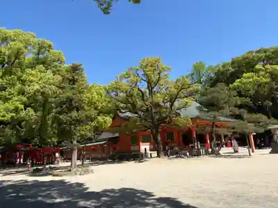 住吉神社の本殿・本堂