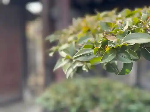 西方山極楽寺(岐阜県)