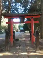 高虫氷川神社(埼玉県)