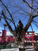 秩父今宮神社(埼玉県)