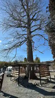 秋保神社(宮城県)