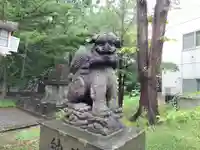 新琴似神社の狛犬