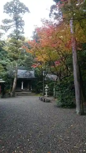 高野神社の自然