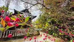 藤木神社(岡山県)