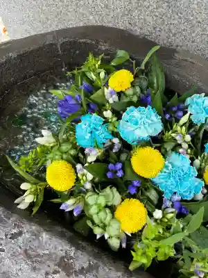 手稲神社(北海道)