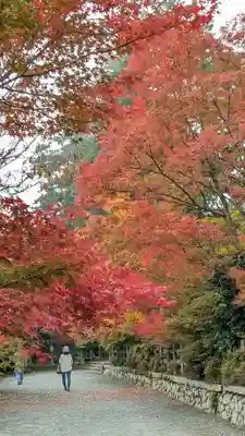 鍬山神社(京都府)