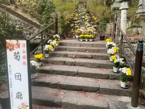 長谷寺(奈良県)