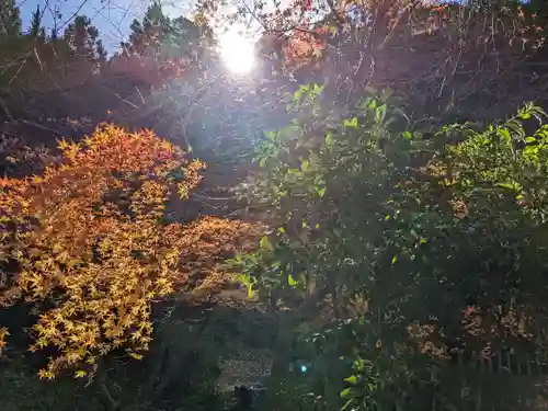 萬徳寺(福井県)