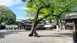 尾張大國霊神社（国府宮）(愛知県)