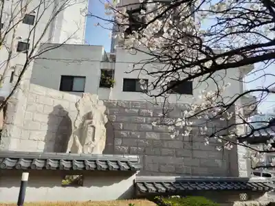 清浄寺(矢場地蔵)の自然