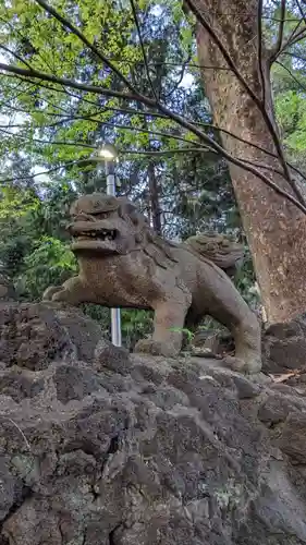 氷川神社の狛犬