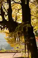 八畝観音堂(高知県)