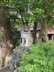 厳嶋神社の狛犬