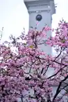 伊勢山皇大神宮の自然