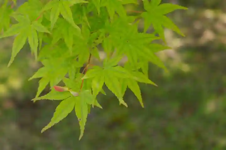 智積院(京都府)