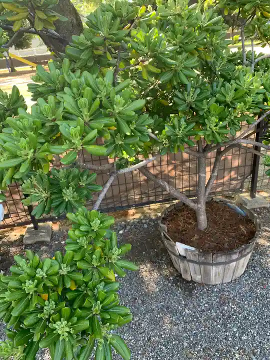 小石神社(群馬県)