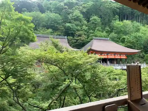 清水寺の景色