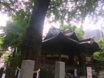 田無神社の本殿・本堂
