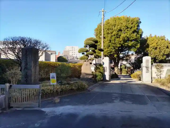 宗林寺(東京都)