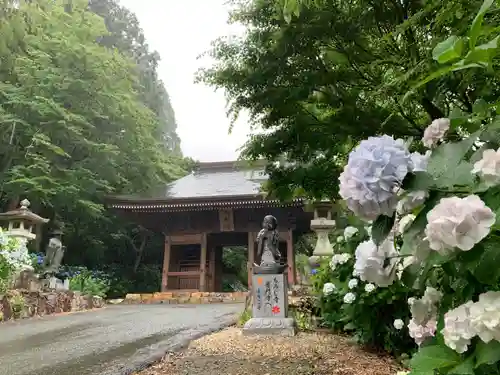 普門寺(切り絵御朱印発祥の寺)の山門