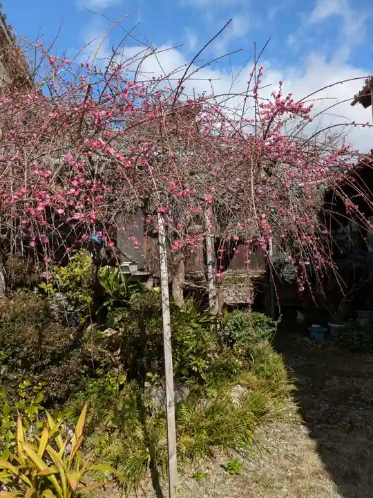 正行寺(岐阜県)