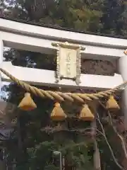 宝登山神社の鳥居