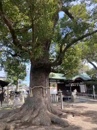 華表神社(大阪府)