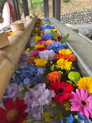 群馬県護国神社(群馬県)