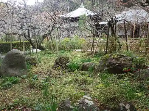 瑞泉寺の庭園