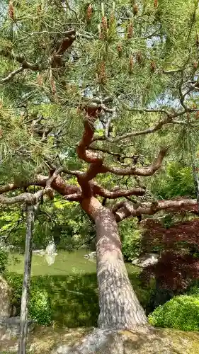 城南宮(京都府)