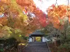 安楽寺(京都府)