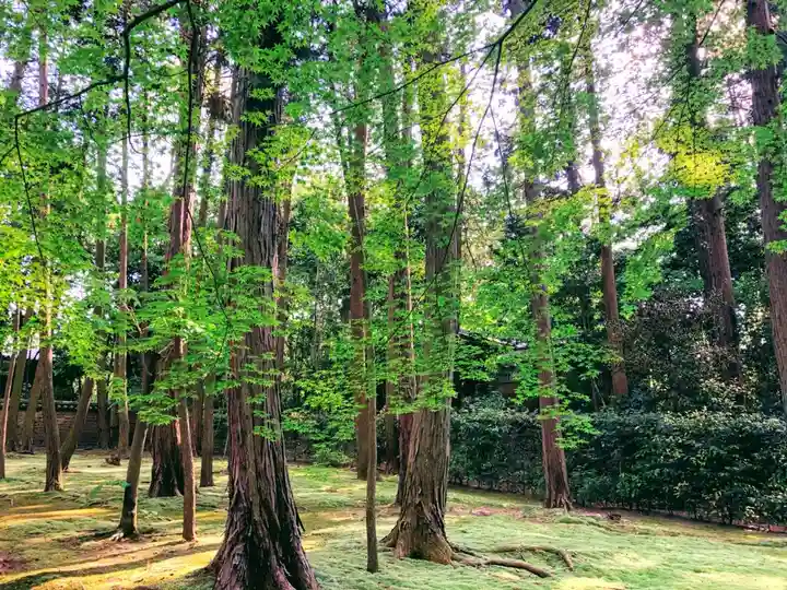 唐招提寺の自然