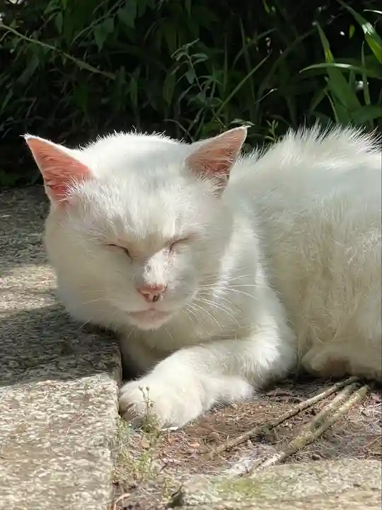 愛宕神社(東京都)