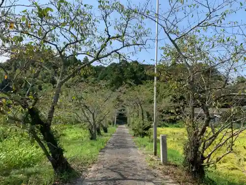 長谷神社のその他建物